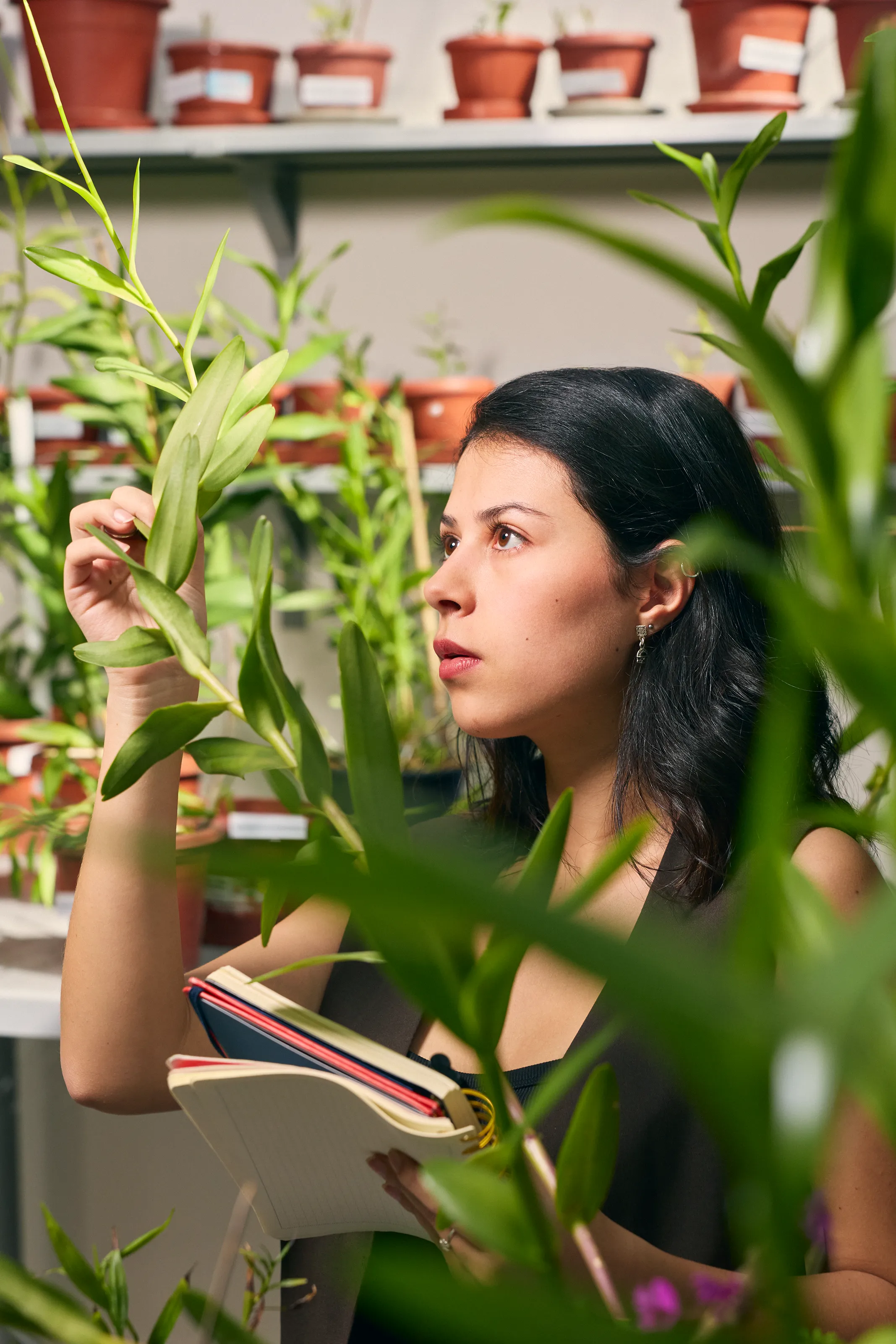 alumna entre plantas 