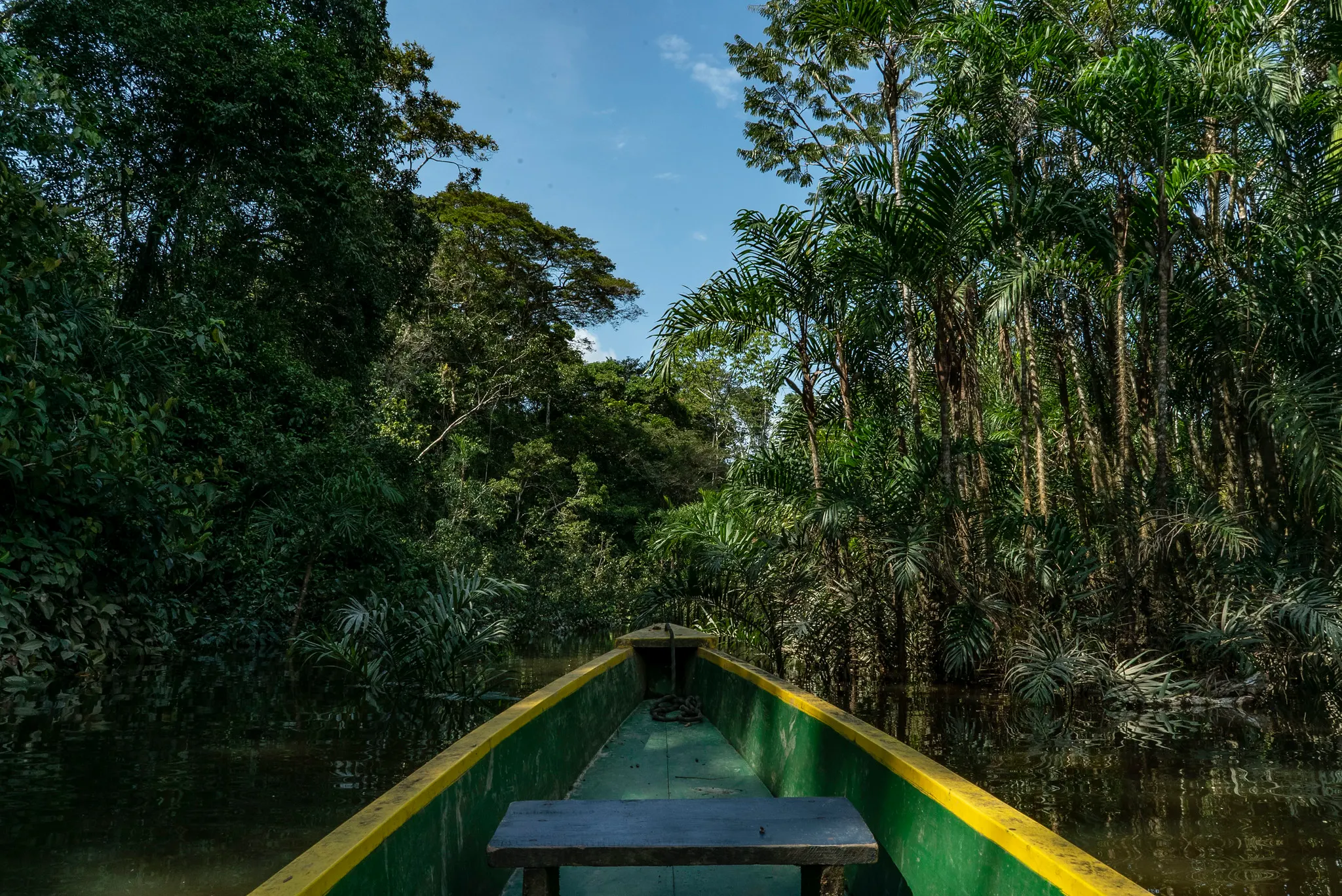 canoa