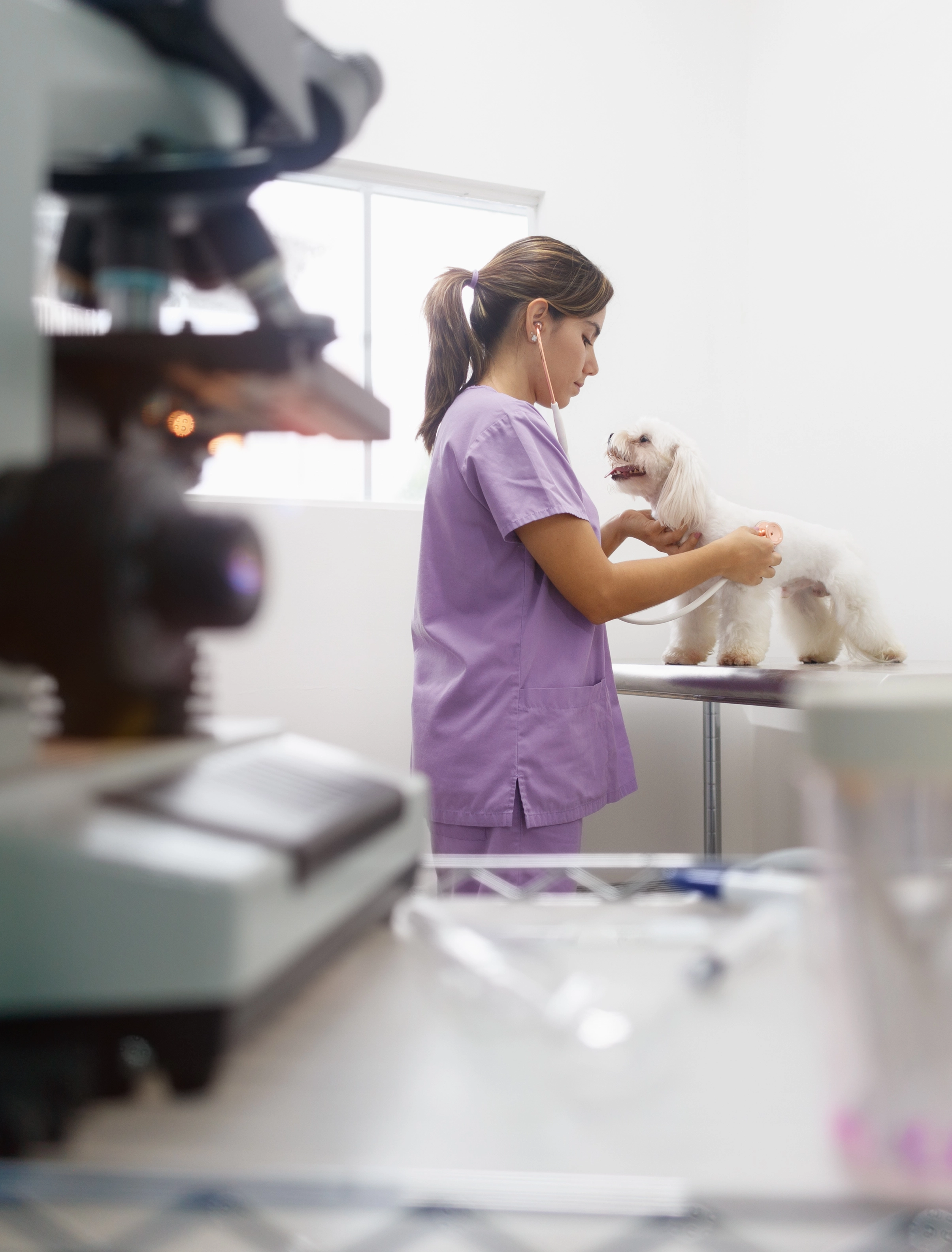 usfq-pregrado-veterinaria01