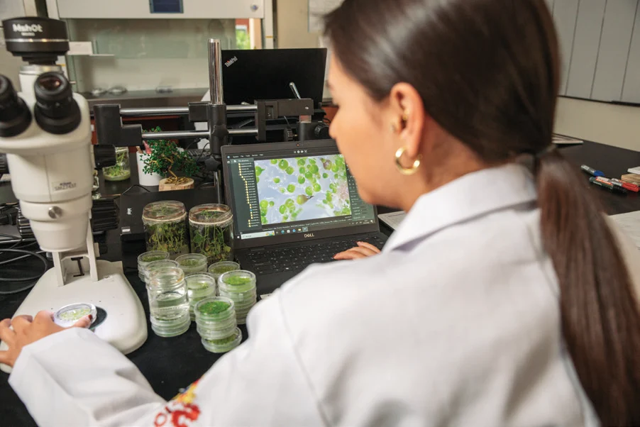 Estudiante investigando en un laboratorio USFQ