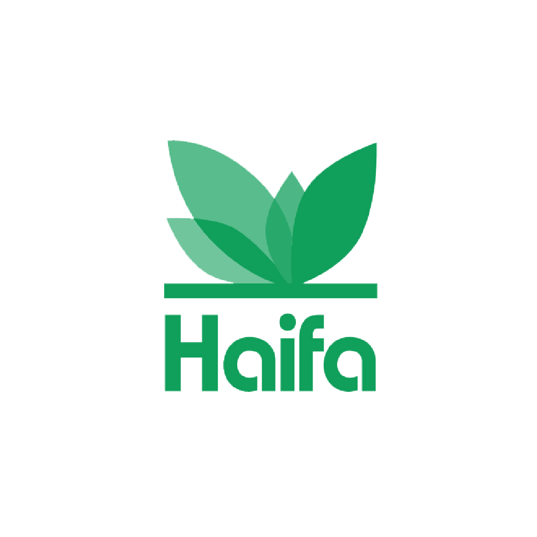 haifa