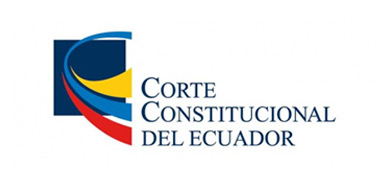 corte constitucional