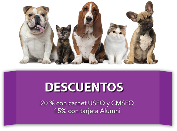 DESCUENTOS:
20% con carnet USFQ y CMSFQ
15% con tarjeta Alumni