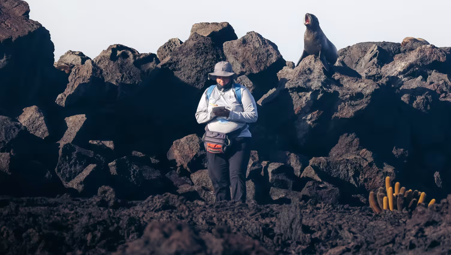 galapagos