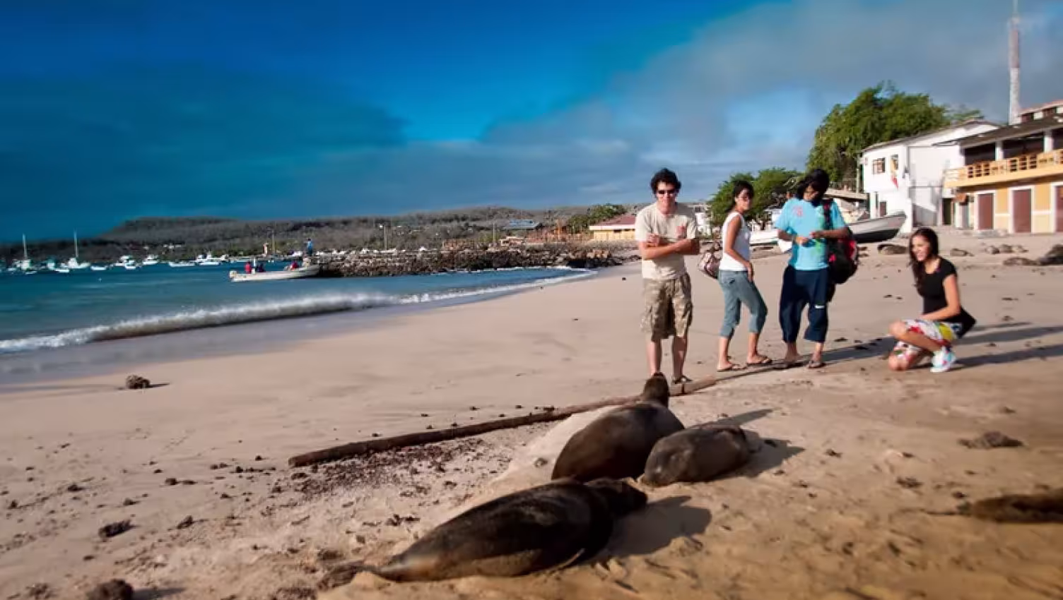 Galapagos: Swimsways and Connectivity