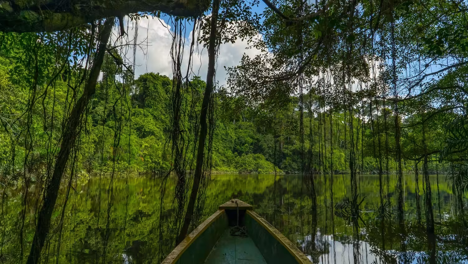 Tiputini: Conservation of the Amazon