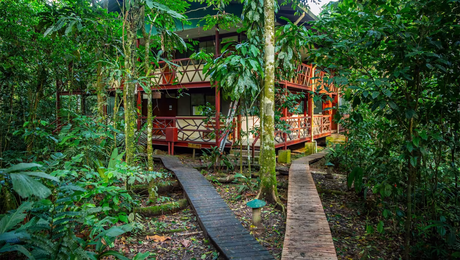 Tiputini: Living Lab