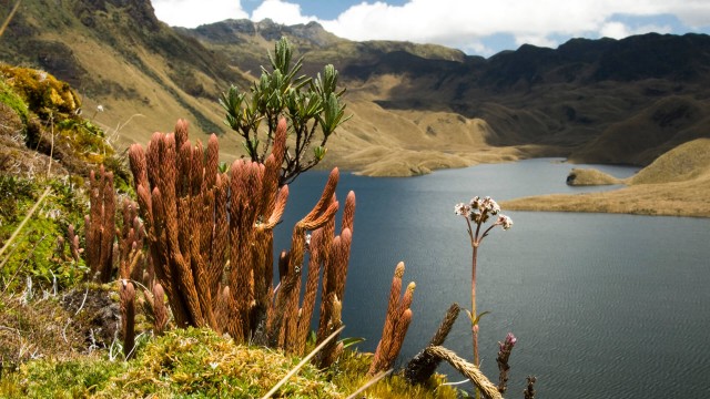 Maestría en Ecología Tropical y Conservación 1