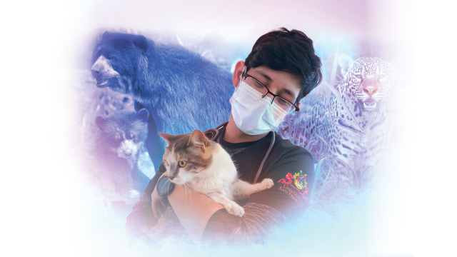 Banner Medicina Veterinaria