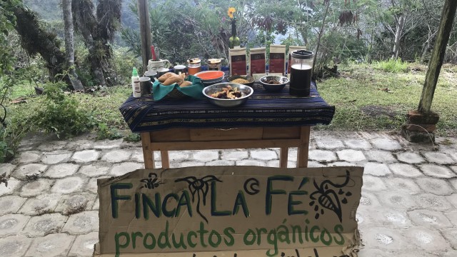 Cacao