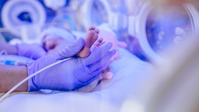 Neonatologia y cuidados intensivos neonatales
