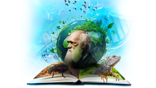 Beca Charles Darwin