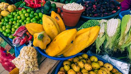 Lanzamiento de la nueva clasificación de alimentos ecuatorianos