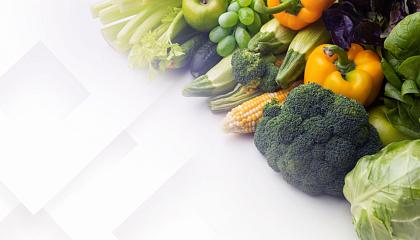 Taller de alimentos ultraprocesados