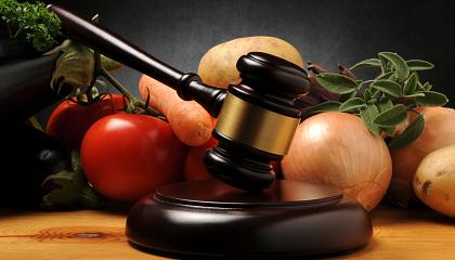 Perspectivas sobre el Derecho de Consumo
