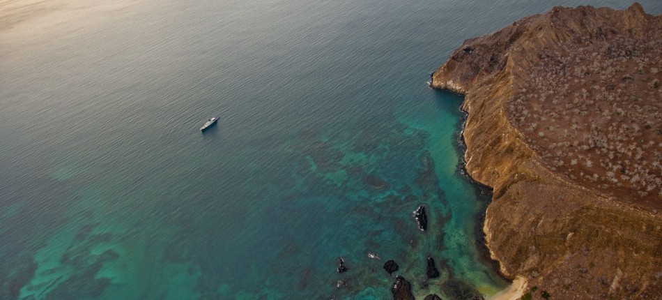 Galápagos