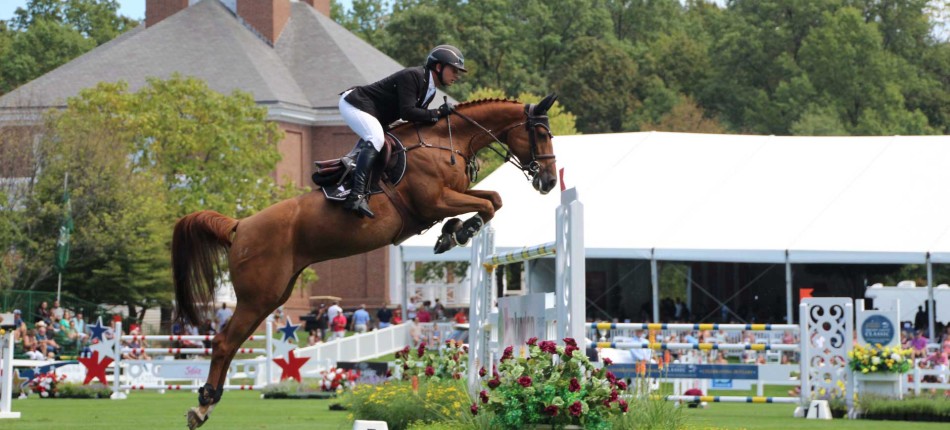 slide-clinica-sistema-digestivo-equinos-001