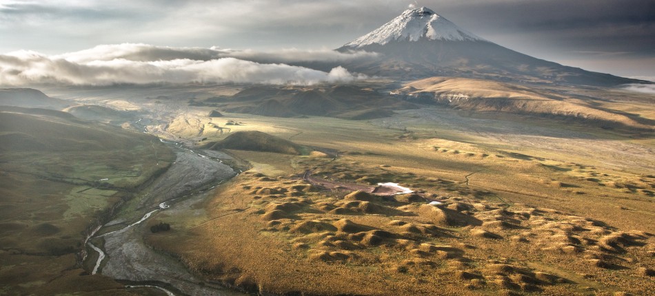 Consumo responsable de peces y mariscos | Universidad San Francisco de ...