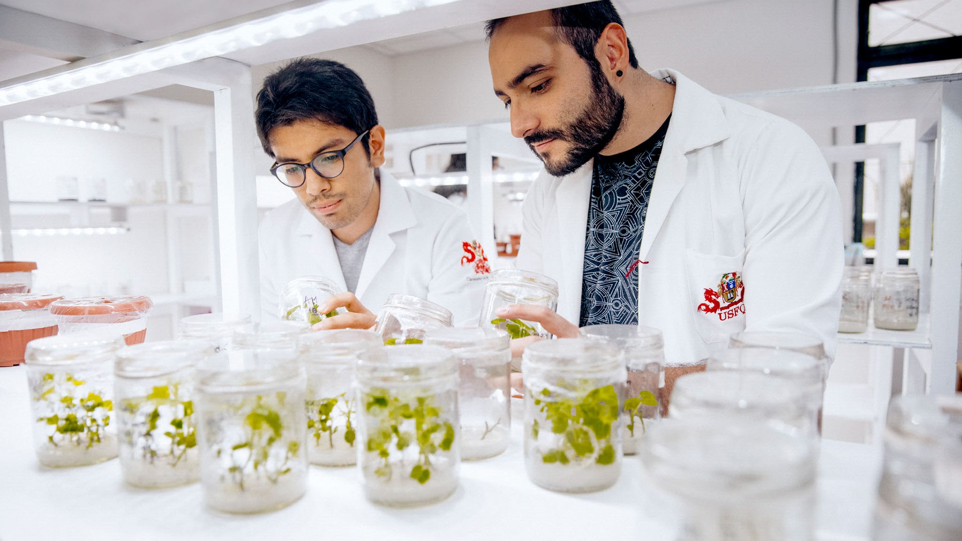 Biotecnología | Universidad San Francisco de Quito