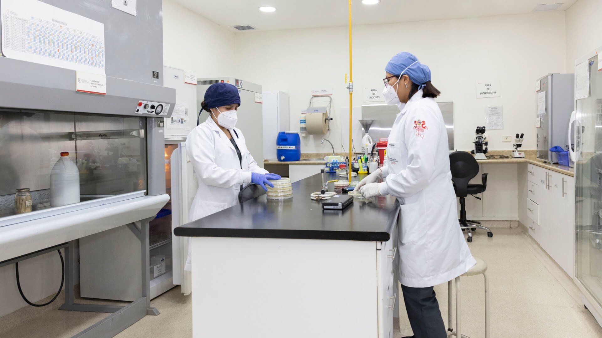 Laboratorio de Microbiología de Alimentos