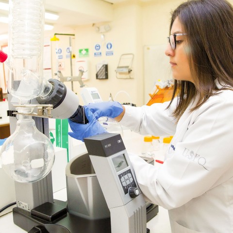 Banner Ciencia y tecnología de Alimentos