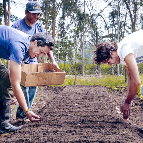 Banner Agronomía