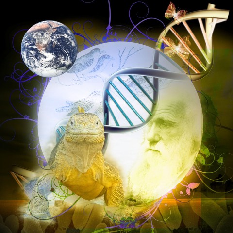 Banner Becas Charles Darwin
