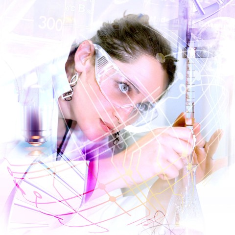 Banner Beca Wise