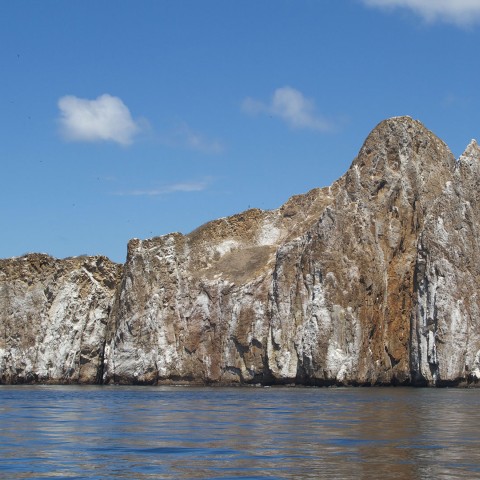 Galápagos