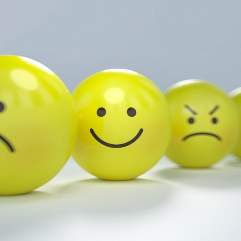 Conectado con las emociones