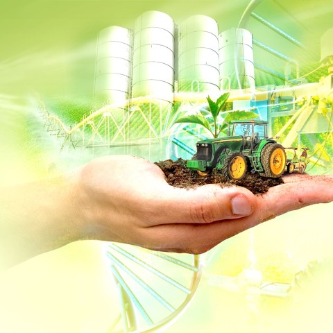 Beca Concurso Norman Borlaug 2021