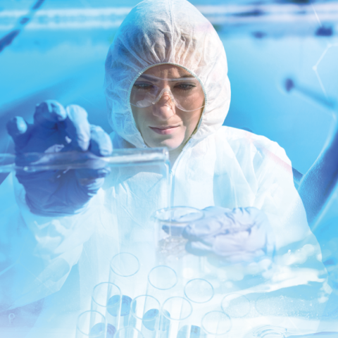 Charlas y Experiencias en Ingeniería Ambiental