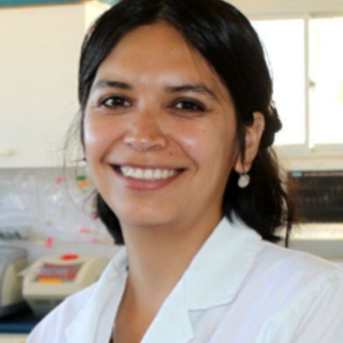 Cristina Dorador Ortiz