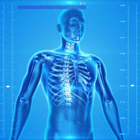 Banner Simposio Cuerpos y Corporalidades
