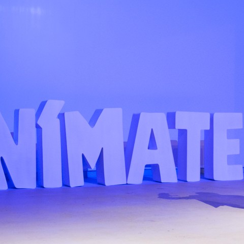 animate