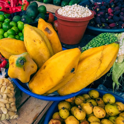 Lanzamiento de la nueva clasificación de alimentos ecuatorianos