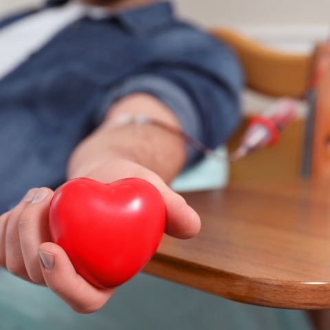 Campaña de donación de sangre 2019