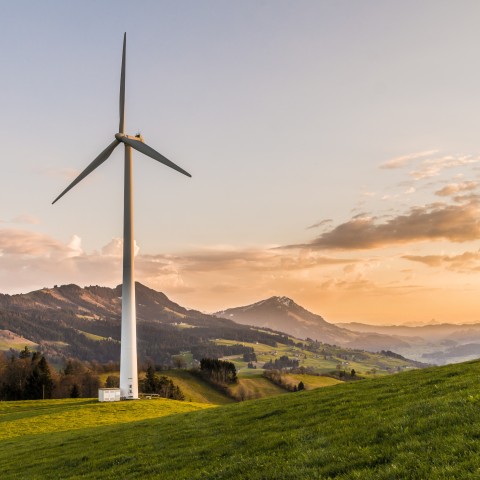 Energía & Sostenibilidad