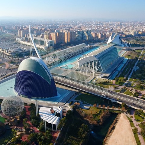 Valencia Study Abroad Program.jpg