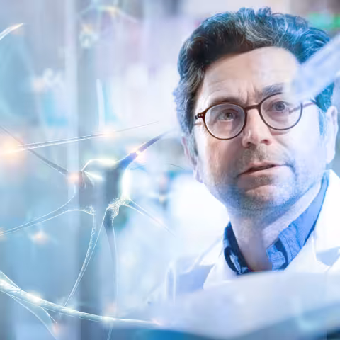 How do you feel? Molecules that sense touch
