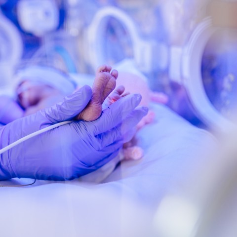 Neonatologia y cuidados intensivos neonatales
