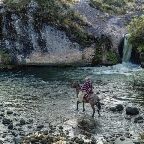 La vida de un río