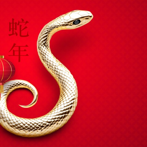 Año Nuevo Chino Año de la Serpiente