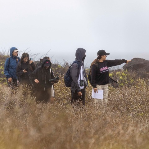 Tecnología Superior en Turismo (Galápagos Santa Cruz) - Banner 1