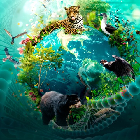 usfq-evento-horizontal-biodiversidad-slide-001