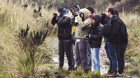 Celebrando la Naturaleza Urbana: Ciencia ciudadana y educación ambiental para valorar la biodiversidad