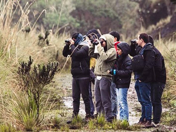 010-celebrando-la-naturaleza-urbana-ciencia-ciudadana.jpg