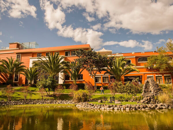 1 Marketing center + espapaya