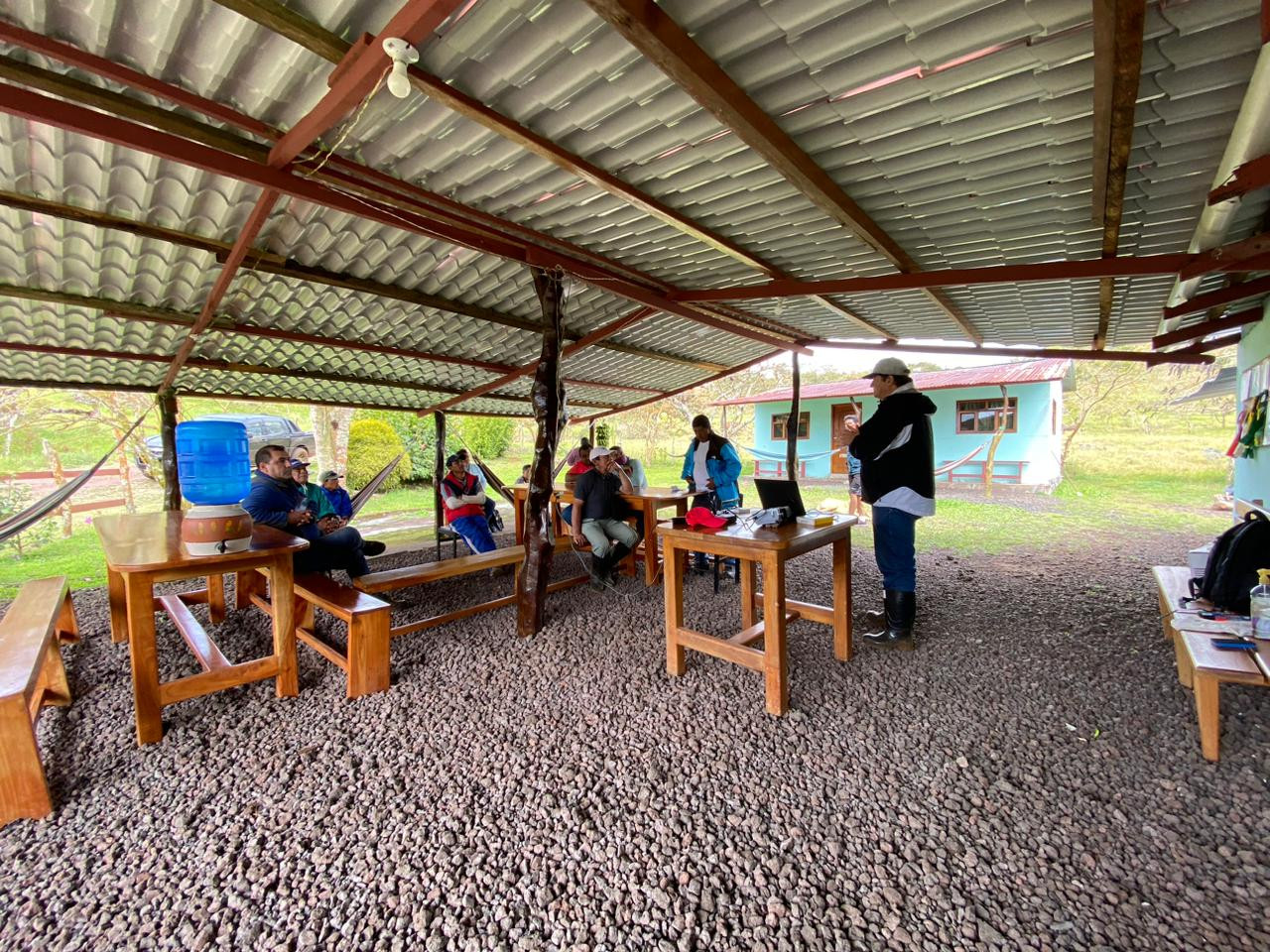 Bovinos galápagos