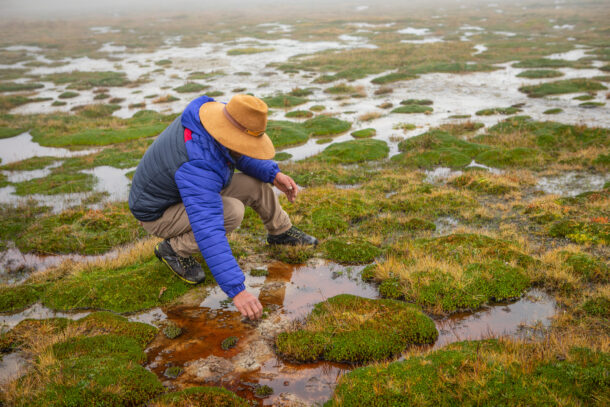 wetland-restoration